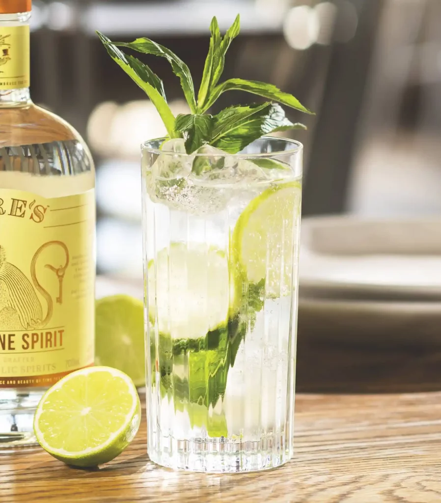 Kit cocktail virgin mojito