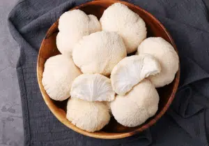 Lire la suite à propos de l’article Les Meilleurs Champignons Adaptogènes – focus sur Lion’s Mane